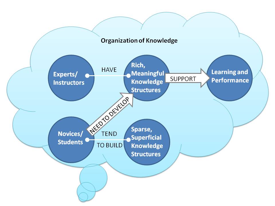 Organizational Knowledge Novice and Expert