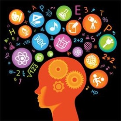 brain organizing knowledge